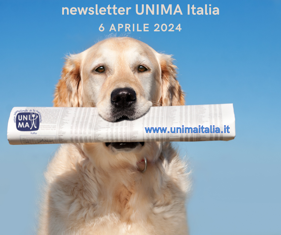 Newsletter UNIMA Italia 6 aprile 2024
